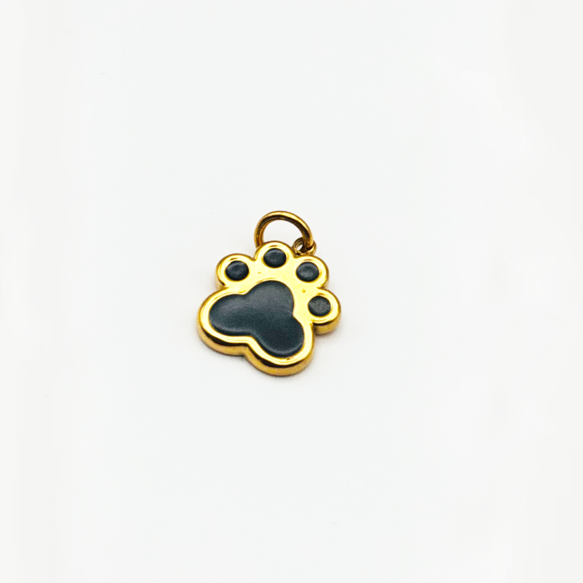 Charm Paw Print